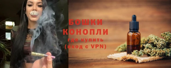 ГАЛЛЮЦИНОГЕННЫЕ ГРИБЫ Медвежьегорск
