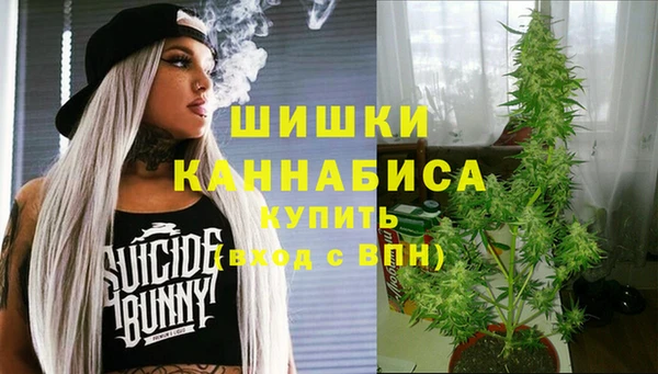 ГАЛЛЮЦИНОГЕННЫЕ ГРИБЫ Медвежьегорск