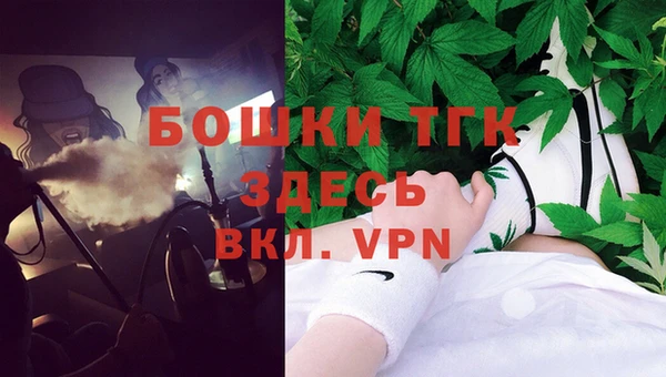 ГАЛЛЮЦИНОГЕННЫЕ ГРИБЫ Медвежьегорск