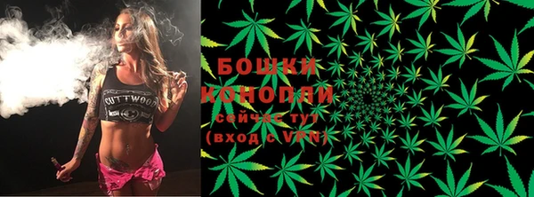 ГАЛЛЮЦИНОГЕННЫЕ ГРИБЫ Медвежьегорск