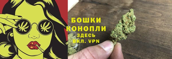 ГАЛЛЮЦИНОГЕННЫЕ ГРИБЫ Медвежьегорск