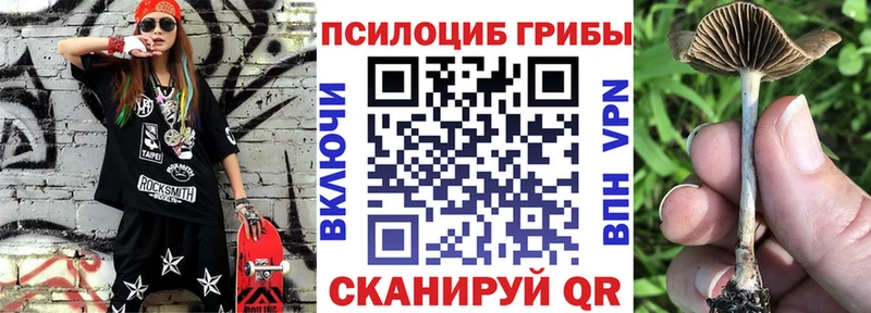 Псилоцибиновые грибы GOLDEN TEACHER  Купить закладки  Фатеж 